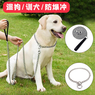 Leijia dog leash, dog walking leash, dog leash, iron chain, p chain, dog training collar 20-60jin jin equals 0.5kg #1.2m long dog leash with 1 p chain