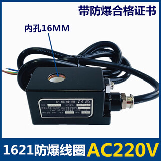 Explosion-proof solenoid valve 4 points 220vdn15/20/25 normally closed valve gas switch valve solenoid gas valve 1621 explosion-proof coil ac220v