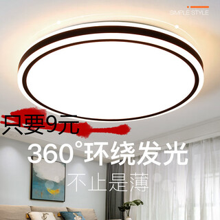 Led ceiling lamp bedroom lamp living room lamp simple modern atmosphere round nordic restaurant balcony aisle lamp black spy shadow round 30cm-24w white light