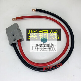 Copper can be customized anderson battery charging plug with wire electric forklift high current connector harness 8 flat 50 cm (50a plug)/m6