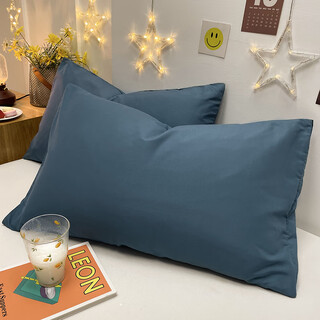Lingyun 2024 new summer adult pillowcases are skin-friendly, breathable, non-pilling, one pair of pillowcases, baolan 48*74, one pair