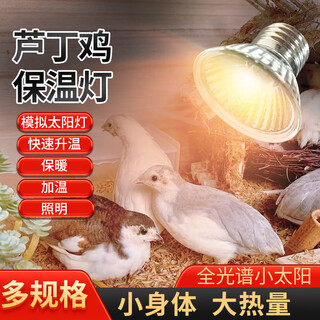 Yanmeng insulation lamp breeding heating lamp automatic temperature control heating lamp for pigs chicken insulation bulb rutin chicken heating roasting lamp small sun lamp 25w (1 piece)