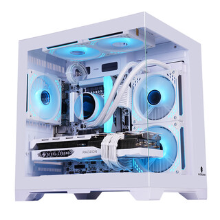 玩嘉孤勇者MINI白色（旗舰版）海景房电脑机箱（侧板免螺丝/上下防尘网/M-ATX主板/ITX主板/240水冷）