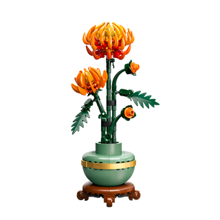 【准新品】乐高（LEGO）积木拼装10368黄金菊18岁+男孩女孩儿童玩具生日礼物