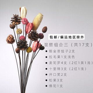 Aesthetic hacker living room flower arrangement dried flower bouquet real flower mix and match floor furnishing restaurant desktop pine cone decoration natural photo props dried fruit and dried flower combination 3