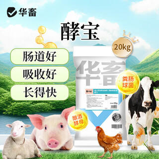 5% laying hen premix, special feed for chicks in the early stage of laying, shell powder, soybean meal, trace element additives 40jin jin is equal to 0.5kg