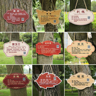 Qinkai flowers and grass acrylic tree signs, plant greening signs, tree introductions, listed schools for arbor day, customize other specifications+ content, contact customer service