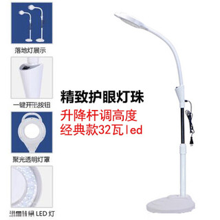 Meng qier beauty lamp, pattern embroidery lamp, led cold light portable manicure, eyelashes, acne, tattoo, eyebrow micro-plastic floor lamp, 32/w pulley-less one-button switch (tray)