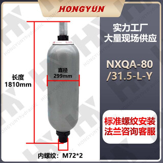 Jingsenzhen hydraulic bladder accumulator bladder nxqa-2.5/6.3/10/25/20/31.5-l-y separator nxqa-80/31.5-l-y