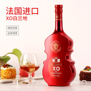 路易玛迪尼法国进口洋酒XO白兰地洋酒卡蒂 40度 750ml 葫芦瓶礼盒装送礼 700mL 1瓶
