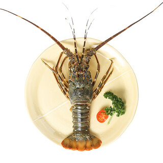 Fresh little green dragon 200-300g/piece