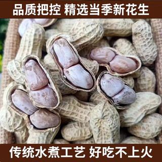 Mangke monkey dragon rock peanut garlic five-spice salted dried multi-flavor salted water white-dried boiled peanuts with shells roasted seeds cooked snacks garlic flavor total 1jin jin is equal to 0.5kg