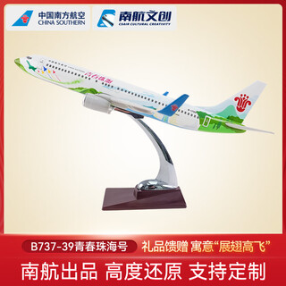 China southern airlines china southern airlines cultural and creative crafts aircraft model static model passenger aircraft youth zhuhai b737 birthday gift 737-39 youth zhuhai