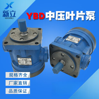 Jingsenzhen medium pressure vane pump yb-d6.3 yb-d100