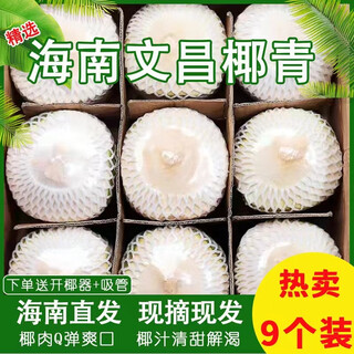 Island fruit sweet hainan green coconut freshly picked fresh coconut fruit pregnant women amniotic fluid coconut chicken large fruit 9 pack (with tools)