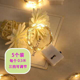 Yupin fengmao colored lights atmosphere light 0.5m led small colored light string 5 pack kindergarten children's handmade diy lanterns for christmas decoration