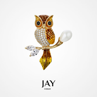 Jay owl brooch women's jewelry corsage as a birthday gift for mother-in-law and elders
