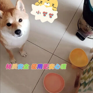 Junki's new pet bowl, macaron color, elephant leg neck protection bowl, high foot, slant mouth, drinking water, dog bowl, cat rice bowl, rejects black chin + elephant legs, not easy to tip over, cares for the growth of your pet, universal for cats and dogs, neck protection tall foot bowl, 4 pack, slant bowl mouth, protects cervical vertebrae