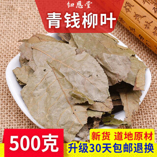 Niu en tang green money willow leaf green money willow leaf money tree leaves green money plum leaf bulk green money willow leaf 500g