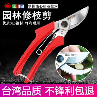 Huili got sakawada taiwan 120 pruning shears, fruit branch shears, gardening pruning shears, garden scissors, garden shears, sakawada 120a pruning shears.