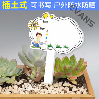 Xushansi kindergarten simulation pot brand gardening simulation flower pot simulation label signage succulent care brand diy handmade yhcd-23 10x16cm