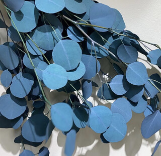 永生苹果桉圆叶尤加利真花室内装修装饰摆件北欧风云南永生花 蓝色50-70cm约100g一束