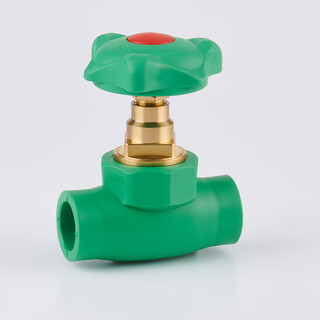 Rehome pp-r water pipe ag+ silver antibacterial pipe emerald green series gate valve 25mm diameter