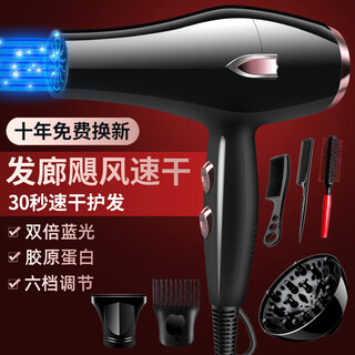 Philips (philips) same style german hair dryer for home high wind hair salon high power 2200w barber shop negative ion hot and cold wind mute german black 35000 wind hair salon free six 10 years