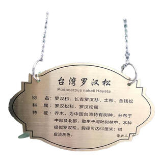 防腐木立式指示牌  爱护花草牌 绿化定制牌 草坪牌 警示牌 不锈钢拉丝20*15