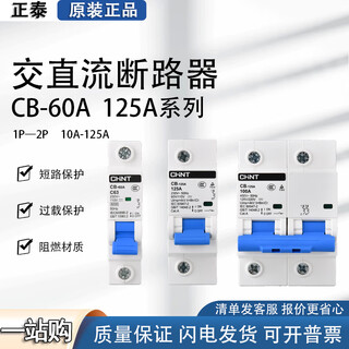 Chint (chnt) chint chnt chint cb-60a ac and dc circuit breaker 2p dc circuit breaker 63a energy storage new energy dc110 6a 1p