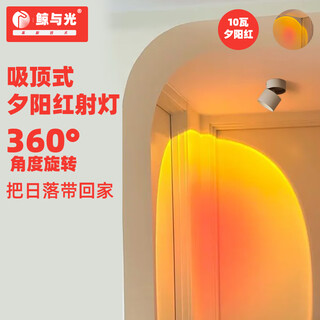 Whale and light sunset sunset lamp the sun never sets spotlight embedded porch decoration mural lamp corridor wall washer white exposed sunset lamp-sunset red 10 watts