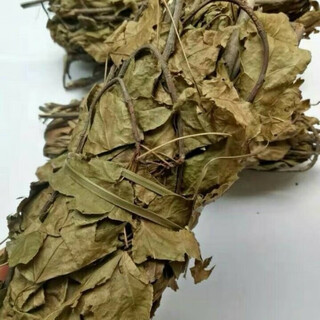Binlongtangcai maple leaf bath bulk sun-dried bag seasonal maternal qingqian willow leaf tea ginger seedling dried confinement 1000g
