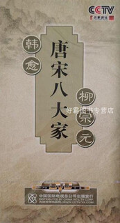 唐宋八大家  CCTV百家讲坛,康震主讲,中国国际电视总公司,9787799825601
