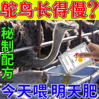 Special feed additive for ostrich, electrolytic multi-dimensional premix, seedling breeding, egg production, weight gain, fattening treasure vitamin, single bag