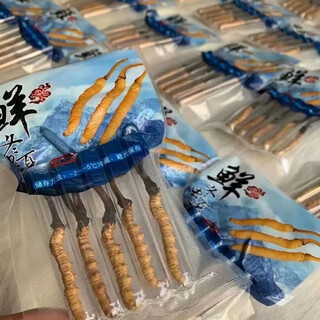 新鲜冬虫夏草2025年头期虫草正品领导高海拔送礼正宗鲜虫草过节 1.2克/根以上  100根鲜虫草 冬虫夏草  顺丰发货