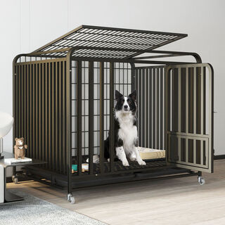 Congteng dog cage indoor large dog medium bold square tube toilet border shepherd household six-sided golden retriever labrador cage black#upgraded three-sided full tube#2.0 bold square tube style 125*95*110#suitable for naughty large dogs