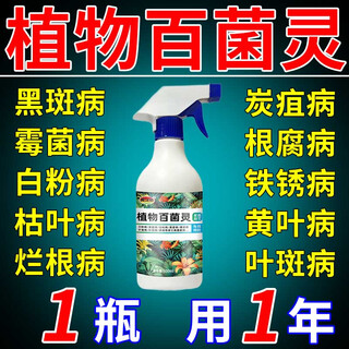 Plant carbendazim fungicide for flowers, special bactericidal flower spray, powdery mildew, anthracnose insecticide, single bottle 500ml with nozzle