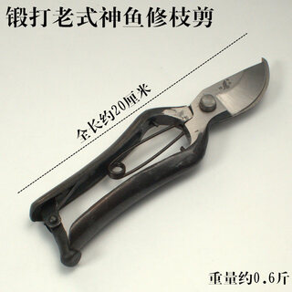 Floral art old-fashioned wangershan fruit tree scissors, pruning shears, gardening scissors, labor-saving scissors, thick branch shears, pruning branch shears, 8-inch hanging buckle divine fish