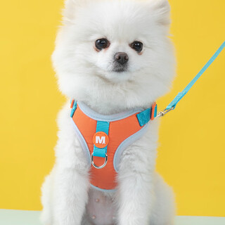 Amor puppy leash outdoor harness teddy bichon poodle puppy dog walking chain pet vest type cat rope little elephant s recommended 3-6 jin jin is equal to 0.5 kg