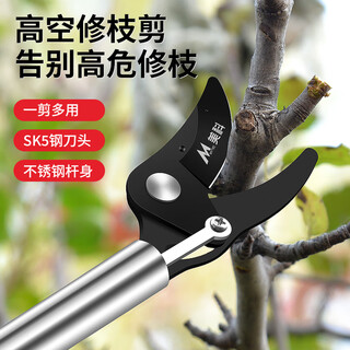 Mytec high-altitude pruning shears for fruit trees, special scissors for pruning branches, extended pruning scissors, extended pole pruning scissors, high branch shears, 1 meter high branch shears, stainless steel