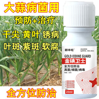 Gengfengwang garlic special agent garlic medicine garlic special medicine dry tip yellow leaf rot treatment plus 20 ml (1 mu of land)