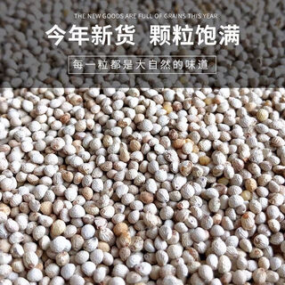 New white perilla large grain perilla seeds bird food canary hibiscus bird oriole pearl white swallow jade bird food parrot bird food 1jin jin is equal to 0.5 kg white perilla