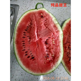 Pure sweet king watermelon seeds, large fruit, short oval, big red flesh, sweet, crisp and refreshing, high sugar content, thin skin, anti-crack, trial planting 100 seeds