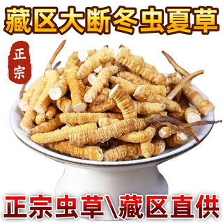 冬虫夏草断草高海拔藏区雪域冬虫夏草精选大断草纯肉节干虫草滋补 藏区冬虫夏草大断草 30 克