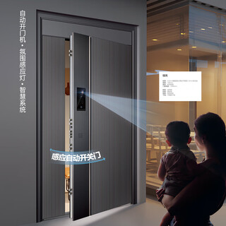 普曼盾PMD-惊鸿  入户门安全门防盗门