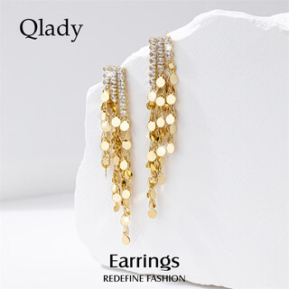 Qlady long tassel earrings for women 2023 temperament high-end earrings niche design light luxury earrings birthday gift