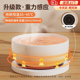 贝初众酸奶机猫咪恒温饮水机陶瓷碗恒温加热温水碗宠物猫狗喝水碗保温碗 350ml-雪域白 45~55℃恒温加热垫 猫咪恒温陶瓷水碗 碗垫分离易清洗
