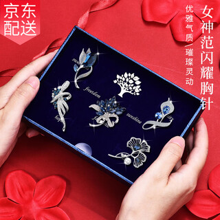 Ancient brooch, high-end women's exquisite niche corsage gift box, light luxury and elegant pin, silk scarf buckle birthday gift for women, practical bouquet fashion brooch 5-piece set-gift box