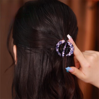 Two worlds high-end 2025 new top half-tie small clip women's back hairpin exquisite ponytail clip hairpin headwear purple clip