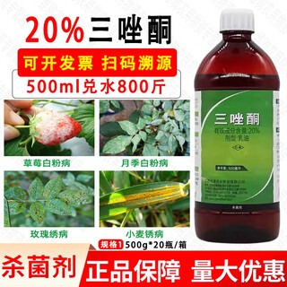 Jianpai 20% triadimefon copper powder rustin fungicide succulent rose strawberry powdery mildew garlic rust special medicine 500ml*1 bottle